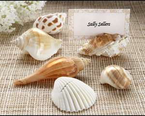 "Shells by the Sea" Authentic Shell Placecard Holders with Matching Placecards (Set of 6)-Beach wedding card holders,placecards, reception card, place card holders, card place holders, wedding table names, placecard holders, wedding table numbers, place card holder, wedding table number ideas, wedding table cards