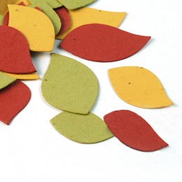Autumn Leaf Eco Confetti-Autumn Leaf Eco Confetti