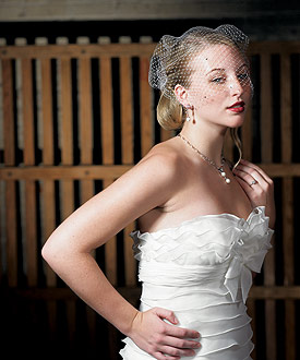 Bird Cage Style Veil-Bird Cage Style Veil