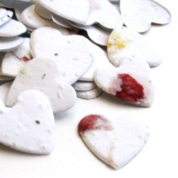 Heart Shaped Plantable Confetti - Set of 350-Heart Shaped Plantable Confetti